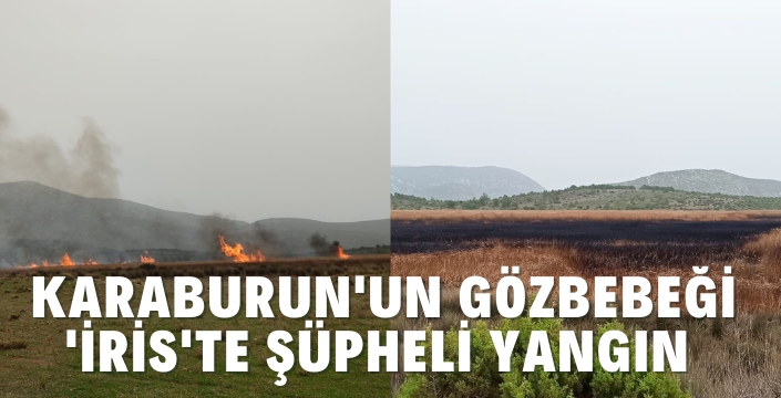 İris Gölü Sazlık alanının yüzde 25'i yandı