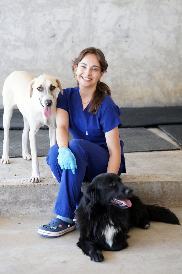 6 ayda İzmir’deki barınaklardan 500 köpek sahiplendirildi