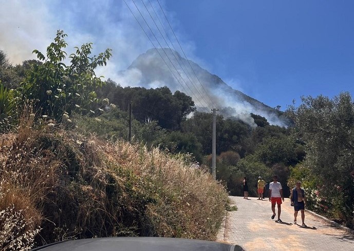 Karaburun, Çeşme Ildırı ve Balıklıova'da yangın