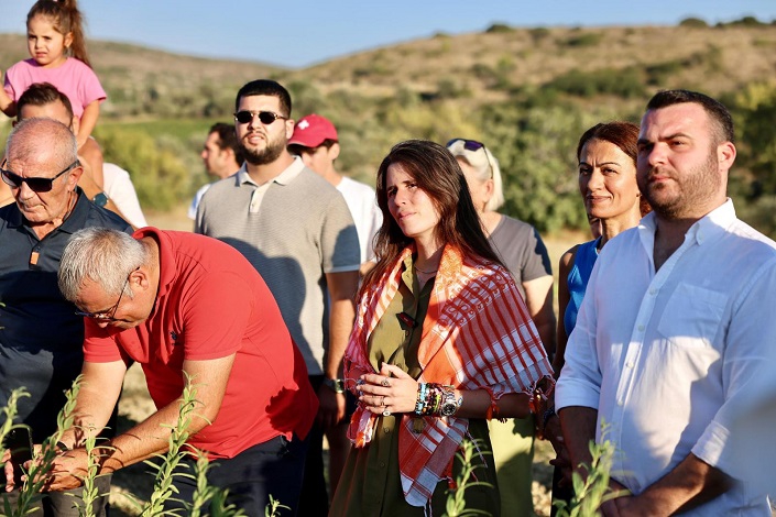 Çeşme'de Ata Tohumu Susam'da İlk Hasat
