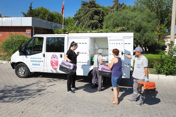 Kedi Dostu Narlıdere, Üç Mahallede Pati Peşinde