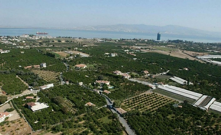 JED'in İnciraltı Potansiyeli Vurgusu